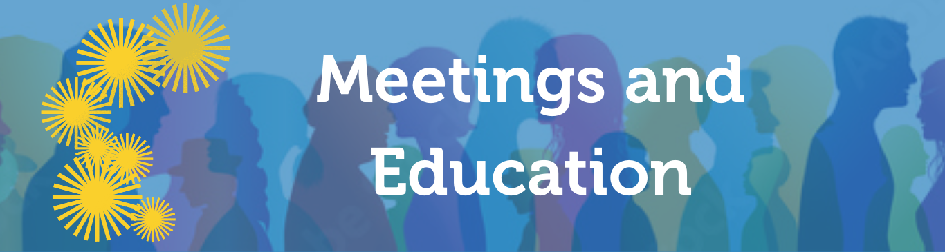 Personalised Care Plan Project: Education and Meetings | The End of ...